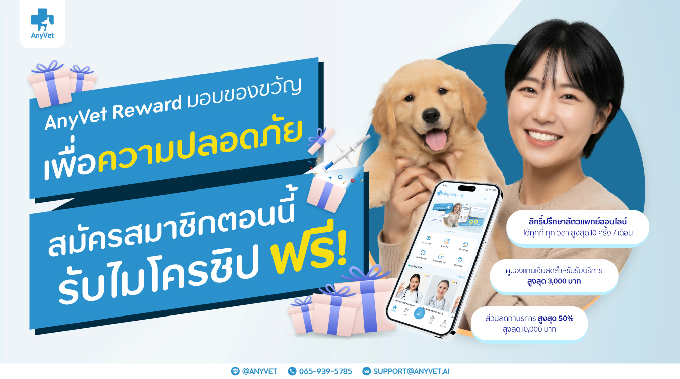ทำความรู้จัก AnyVet Rewards